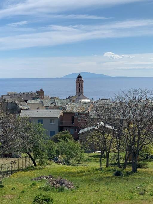 Magnifique Maison Avec Vue Mer Hauteur De Bastia Bastia  Zewnętrze zdjęcie